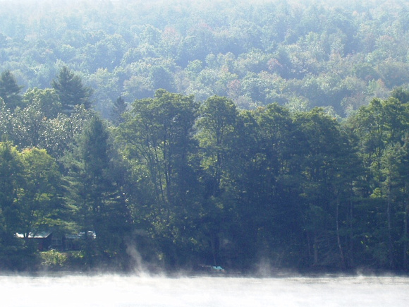 Vermont Mist
